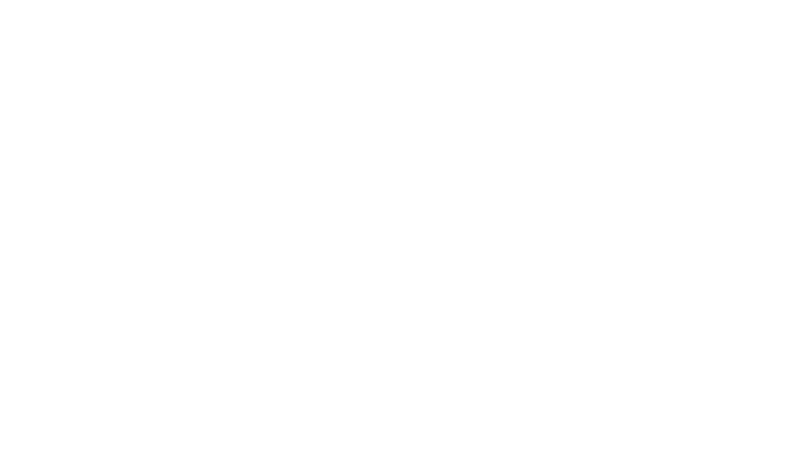 VELUX logo